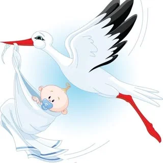 балалар киімі жеткізушісі логотипі